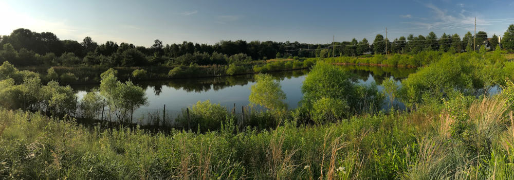 Duck Pond Park Image