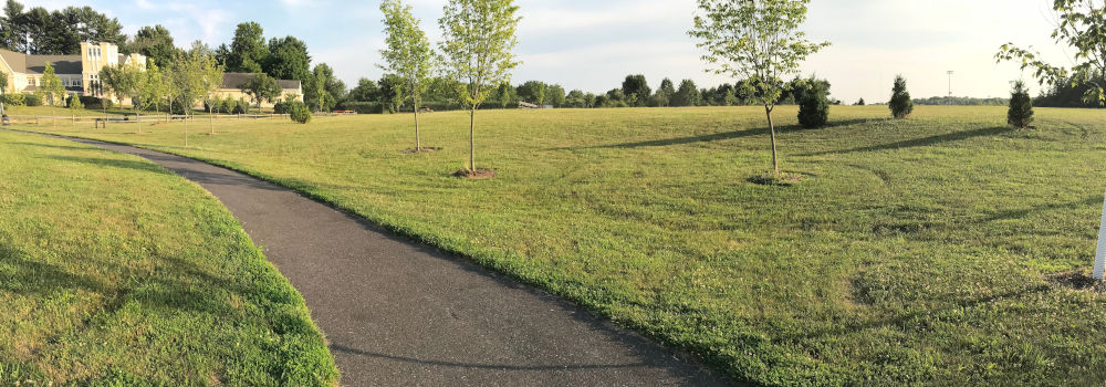 Duck Pond Park Image