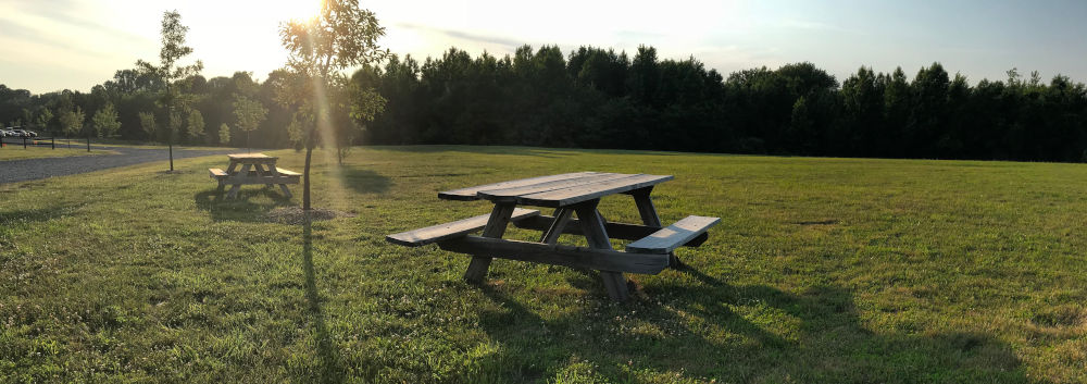 Duck Pond Park Image