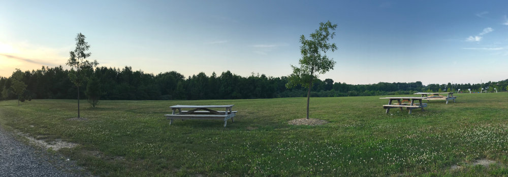 Duck Pond Park Image