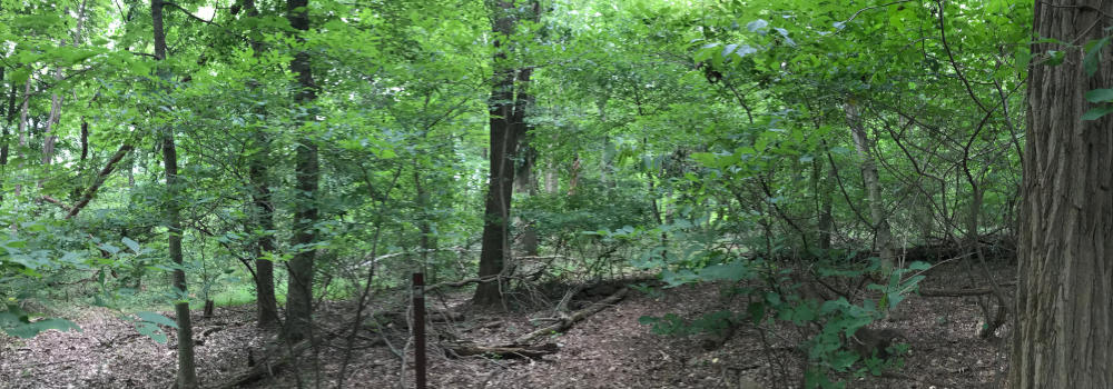 Millstone River Preserve Image