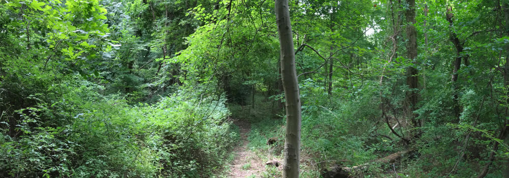 Millstone River Preserve Image