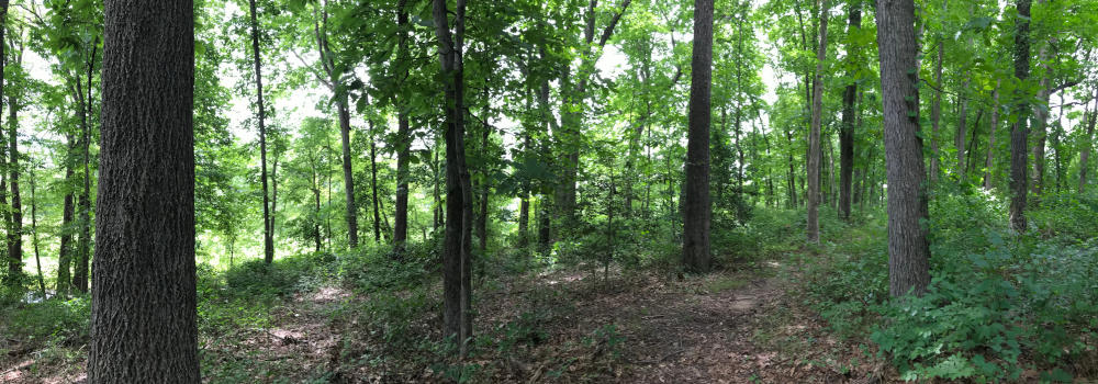 Millstone River Preserve Image