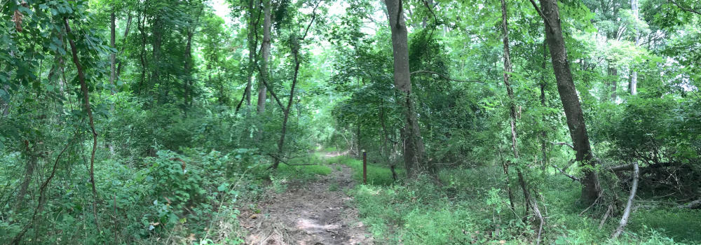 Millstone River Preserve Image
