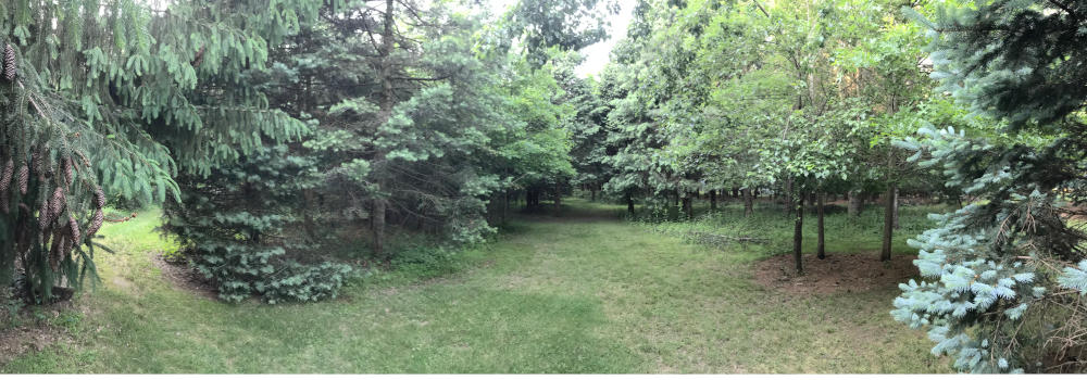 Rogers Preserve Image
