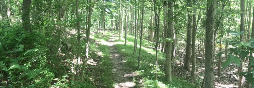 Ron Rogers Arboretum Image