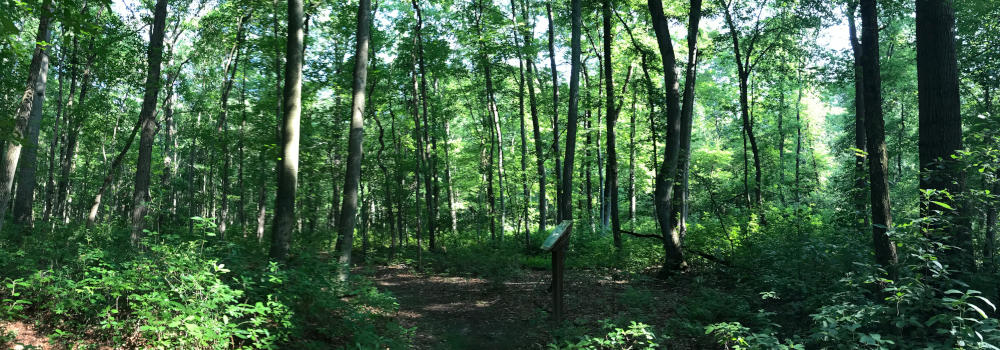 Zaitz Park Image
